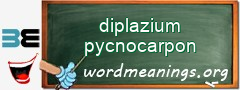 WordMeaning blackboard for diplazium pycnocarpon